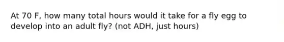 At 70 F, how many total hours would it take for a fly egg to develop into an adult fly? (not ADH, just hours)