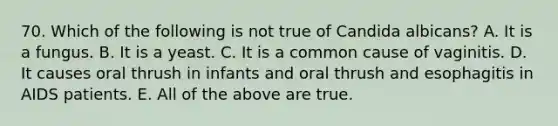 70. Which of the following is not true of Candida albicans? A. It is a fungus. B. It is a yeast. C. It is a common cause of vaginitis. D. It causes oral thrush in infants and oral thrush and esophagitis in AIDS patients. E. All of the above are true.