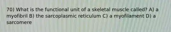 70) What is the functional unit of a skeletal muscle called? A) a myofibril B) the sarcoplasmic reticulum C) a myofilament D) a sarcomere