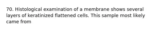 70. Histological examination of a membrane shows several layers of keratinized flattened cells. This sample most likely came from