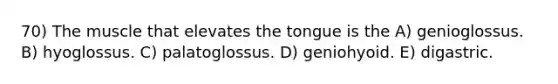 70) The muscle that elevates the tongue is the A) genioglossus. B) hyoglossus. C) palatoglossus. D) geniohyoid. E) digastric.