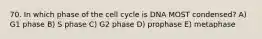 70. In which phase of the cell cycle is DNA MOST condensed? A) G1 phase B) S phase C) G2 phase D) prophase E) metaphase