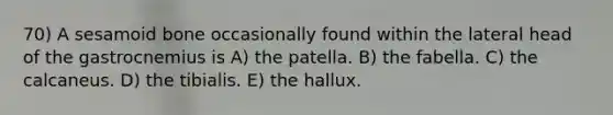 70) A sesamoid bone occasionally found within the lateral head of the gastrocnemius is A) the patella. B) the fabella. C) the calcaneus. D) the tibialis. E) the hallux.