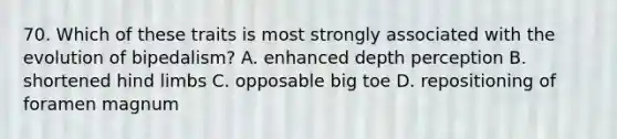 70. Which of these traits is most strongly associated with the evolution of bipedalism? A. enhanced depth perception B. shortened hind limbs C. opposable big toe D. repositioning of foramen magnum