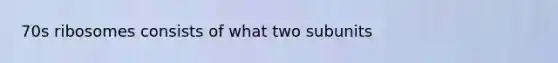 70s ribosomes consists of what two subunits