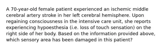 A 70-year-old female patient experienced an ischemic middle cerebral artery stroke in her left cerebral hemisphere. Upon regaining consciousness in the intensive care unit, she reports experiencing hypoesthesia (i.e. loss of touch sensation) on the right side of her body. Based on the information provided above, which sensory area has been damaged in this patient?