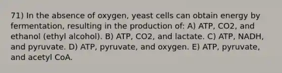 71) In the absence of oxygen, yeast cells can obtain energy by fermentation, resulting in the production of: A) ATP, CO2, and ethanol (ethyl alcohol). B) ATP, CO2, and lactate. C) ATP, NADH, and pyruvate. D) ATP, pyruvate, and oxygen. E) ATP, pyruvate, and acetyl CoA.