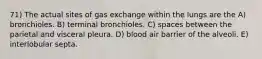 71) The actual sites of gas exchange within the lungs are the A) bronchioles. B) terminal bronchioles. C) spaces between the parietal and visceral pleura. D) blood air barrier of the alveoli. E) interlobular septa.