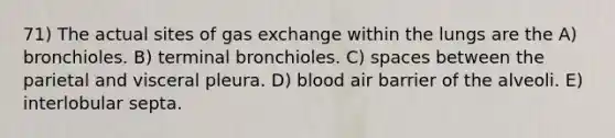 71) The actual sites of gas exchange within the lungs are the A) bronchioles. B) terminal bronchioles. C) spaces between the parietal and visceral pleura. D) blood air barrier of the alveoli. E) interlobular septa.