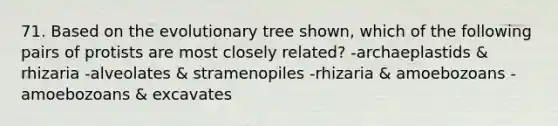 71. Based on the evolutionary tree shown, which of the following pairs of protists are most closely related? -archaeplastids & rhizaria -alveolates & stramenopiles -rhizaria & amoebozoans -amoebozoans & excavates