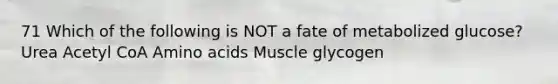 71 Which of the following is NOT a fate of metabolized glucose? Urea Acetyl CoA Amino acids Muscle glycogen