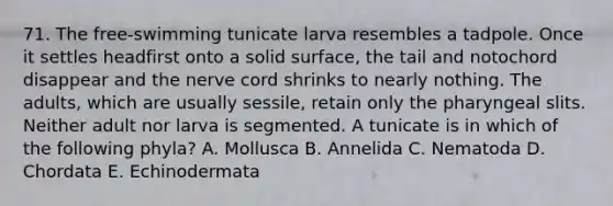 71. The free-swimming tunicate larva resembles a tadpole. Once it settles headfirst onto a solid surface, the tail and notochord disappear and the nerve cord shrinks to nearly nothing. The adults, which are usually sessile, retain only the pharyngeal slits. Neither adult nor larva is segmented. A tunicate is in which of the following phyla? A. Mollusca B. Annelida C. Nematoda D. Chordata E. Echinodermata