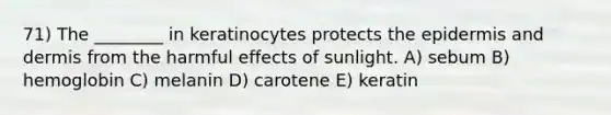 71) The ________ in keratinocytes protects the epidermis and dermis from the harmful effects of sunlight. A) sebum B) hemoglobin C) melanin D) carotene E) keratin