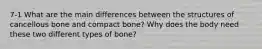 7-1 What are the main differences between the structures of cancellous bone and compact bone? Why does the body need these two different types of bone?