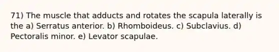 71) The muscle that adducts and rotates the scapula laterally is the a) Serratus anterior. b) Rhomboideus. c) Subclavius. d) Pectoralis minor. e) Levator scapulae.