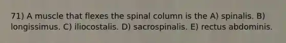 71) A muscle that flexes the spinal column is the A) spinalis. B) longissimus. C) iliocostalis. D) sacrospinalis. E) rectus abdominis.