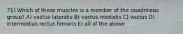 71) Which of these muscles is a member of the quadriceps group? A) vastus lateralis B) vastus medialis C) vastus D) intermedius rectus femoris E) all of the above