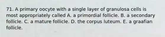 71. A primary oocyte with a single layer of granulosa cells is most appropriately called A. a primordial follicle. B. a secondary follicle. C. a mature follicle. D. the corpus luteum. E. a graafian follicle.