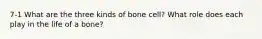 7-1 What are the three kinds of bone cell? What role does each play in the life of a bone?