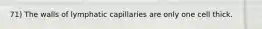 71) The walls of lymphatic capillaries are only one cell thick.