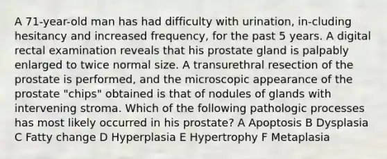 A 71-year-old man has had difficulty with urination, in-cluding hesitancy and increased frequency, for the past 5 years. A digital rectal examination reveals that his prostate gland is palpably enlarged to twice normal size. A transurethral resection of the prostate is performed, and the microscopic appearance of the prostate "chips" obtained is that of nodules of glands with intervening stroma. Which of the following pathologic processes has most likely occurred in his prostate? A Apoptosis B Dysplasia C Fatty change D Hyperplasia E Hypertrophy F Metaplasia