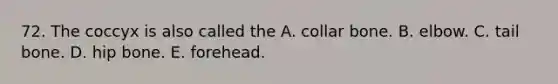 72. The coccyx is also called the A. collar bone. B. elbow. C. tail bone. D. hip bone. E. forehead.