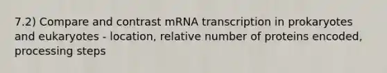 7.2) Compare and contrast mRNA <a href='https://www.questionai.com/knowledge/krSNCrF0wC-transcription-in-prokaryotes' class='anchor-knowledge'>transcription in prokaryotes</a> and eukaryotes - location, relative number of proteins encoded, processing steps