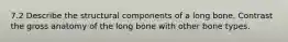 7.2 Describe the structural components of a long bone. Contrast the gross anatomy of the long bone with other bone types.