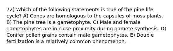 72) Which of the following statements is true of the pine life cycle? A) Cones are homologous to the capsules of moss plants. B) The pine tree is a gametophyte. C) Male and female gametophytes are in close proximity during gamete synthesis. D) Conifer pollen grains contain male gametophytes. E) Double fertilization is a relatively common phenomenon.