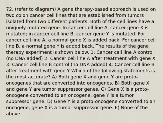 72. (refer to diagram) A gene therapy-based approach is used on two colon cancer cell lines that are established from tumors isolated from two different patients. Both of the cell lines have a uniquely mutated gene. In cancer cell line A, cancer gene X is mutated; in cancer cell line B, cancer gene Y is mutated. For cancer cell line A, a normal gene X is added back. For cancer cell line B, a normal gene Y is added back. The results of the gene therapy experiment is shown below. 1: Cancer cell line A control (no DNA added) 2: Cancer cell line A after treatment with gene X 3: Cancer cell line B control (no DNA added) 4: Cancer cell line B after treatment with gene Y Which of the following statements is the most accurate? A) Both gene X and gene Y are proto-oncogenes that are converted into oncogenes. B) Both gene X and gene Y are tumor suppressor genes. C) Gene X is a proto-oncogene converted to an oncogene, gene Y is a tumor suppressor gene. D) Gene Y is a proto-oncogene converted to an oncogene, gene X is a tumor suppressor gene. E) None of the above