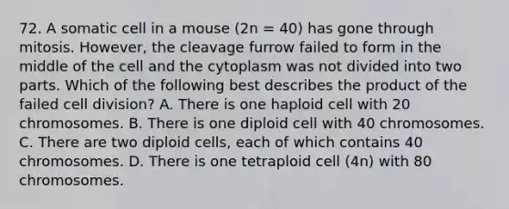 72. A somatic cell in a mouse (2n = 40) has gone through mitosis. However, the cleavage furrow failed to form in the middle of the cell and the cytoplasm was not divided into two parts. Which of the following best describes the product of the failed cell division? A. There is one haploid cell with 20 chromosomes. B. There is one diploid cell with 40 chromosomes. C. There are two diploid cells, each of which contains 40 chromosomes. D. There is one tetraploid cell (4n) with 80 chromosomes.