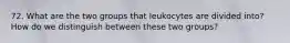 72. What are the two groups that leukocytes are divided into? How do we distinguish between these two groups?