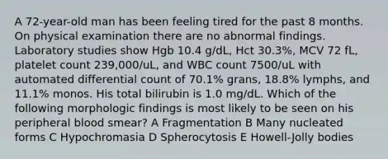 A 72-year-old man has been feeling tired for the past 8 months. On physical examination there are no abnormal findings. Laboratory studies show Hgb 10.4 g/dL, Hct 30.3%, MCV 72 fL, platelet count 239,000/uL, and WBC count 7500/uL with automated differential count of 70.1% grans, 18.8% lymphs, and 11.1% monos. His total bilirubin is 1.0 mg/dL. Which of the following morphologic findings is most likely to be seen on his peripheral blood smear? A Fragmentation B Many nucleated forms C Hypochromasia D Spherocytosis E Howell-Jolly bodies