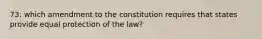 73: which amendment to the constitution requires that states provide equal protection of the law?