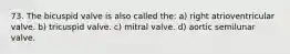 73. The bicuspid valve is also called the: a) right atrioventricular valve. b) tricuspid valve. c) mitral valve. d) aortic semilunar valve.