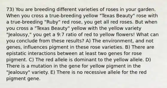 73) You are breeding different varieties of roses in your garden. When you cross a true-breeding yellow "Texas Beauty" rose with a true-breeding "Ruby" red rose, you get all red roses. But when you cross a "Texas Beauty" yellow with the yellow variety "Jealousy," you get a 9:7 ratio of red to yellow flowers! What can you conclude from these results? A) The environment, and not genes, influences pigment in these rose varieties. B) There are epistatic interactions between at least two genes for rose pigment. C) The red allele is dominant to the yellow allele. D) There is a mutation in the gene for yellow pigment in the "Jealousy" variety. E) There is no recessive allele for the red pigment gene.