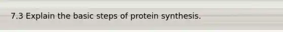 7.3 Explain the basic steps of protein synthesis.