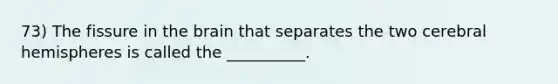 73) The fissure in <a href='https://www.questionai.com/knowledge/kLMtJeqKp6-the-brain' class='anchor-knowledge'>the brain</a> that separates the two cerebral hemispheres is called the __________.