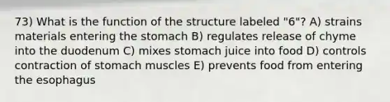 73) What is the function of the structure labeled "6"? A) strains materials entering <a href='https://www.questionai.com/knowledge/kLccSGjkt8-the-stomach' class='anchor-knowledge'>the stomach</a> B) regulates release of chyme into the duodenum C) mixes stomach juice into food D) controls contraction of stomach muscles E) prevents food from entering <a href='https://www.questionai.com/knowledge/kSjVhaa9qF-the-esophagus' class='anchor-knowledge'>the esophagus</a>