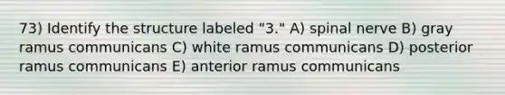 73) Identify the structure labeled "3." A) spinal nerve B) gray ramus communicans C) white ramus communicans D) posterior ramus communicans E) anterior ramus communicans