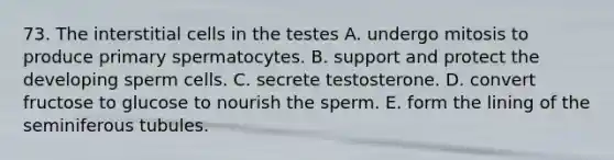 73. The interstitial cells in the testes A. undergo mitosis to produce primary spermatocytes. B. support and protect the developing sperm cells. C. secrete testosterone. D. convert fructose to glucose to nourish the sperm. E. form the lining of the seminiferous tubules.