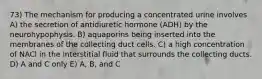 73) The mechanism for producing a concentrated urine involves A) the secretion of antidiuretic hormone (ADH) by the neurohypophysis. B) aquaporins being inserted into the membranes of the collecting duct cells. C) a high concentration of NACl in the interstitial fluid that surrounds the collecting ducts. D) A and C only E) A, B, and C