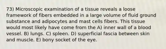 73) Microscopic examination of a tissue reveals a loose framework of fibers embedded in a large volume of fluid ground substance and adipocytes and mast cells fibers. This tissue would most likely have come from the A) inner wall of a blood vessel. B) lungs. C) spleen. D) superficial fascia between skin and muscle. E) bony socket of the eye.