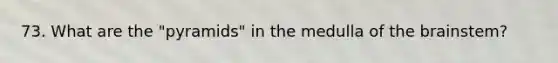 73. What are the "pyramids" in the medulla of the brainstem?