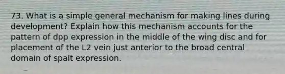 73. What is a simple general mechanism for making lines during development? Explain how this mechanism accounts for the pattern of dpp expression in the middle of the wing disc and for placement of the L2 vein just anterior to the broad central domain of spalt expression.