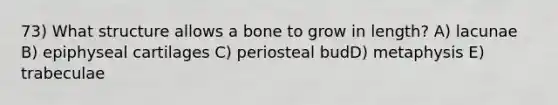 73) What structure allows a bone to grow in length? A) lacunae B) epiphyseal cartilages C) periosteal budD) metaphysis E) trabeculae