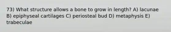 73) What structure allows a bone to grow in length? A) lacunae B) epiphyseal cartilages C) periosteal bud D) metaphysis E) trabeculae