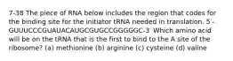 7-38 The piece of RNA below includes the region that codes for the binding site for the initiator tRNA needed in translation. 5′-GUUUCCCGUAUACAUGCGUGCCGGGGGC-3′ Which amino acid will be on the tRNA that is the first to bind to the A site of the ribosome? (a) methionine (b) arginine (c) cysteine (d) valine