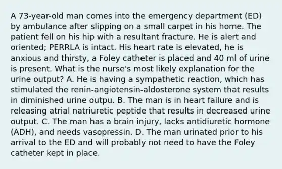 A 73-year-old man comes into the emergency department (ED) by ambulance after slipping on a small carpet in his home. The patient fell on his hip with a resultant fracture. He is alert and oriented; PERRLA is intact. His heart rate is elevated, he is anxious and thirsty, a Foley catheter is placed and 40 ml of urine is present. What is the nurse's most likely explanation for the urine output? A. He is having a sympathetic reaction, which has stimulated the renin-angiotensin-aldosterone system that results in diminished urine outpu. B. The man is in heart failure and is releasing atrial natriuretic peptide that results in decreased urine output. C. The man has a brain injury, lacks antidiuretic hormone (ADH), and needs vasopressin. D. The man urinated prior to his arrival to the ED and will probably not need to have the Foley catheter kept in place.