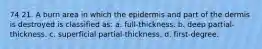 74 21. A burn area in which the epidermis and part of the dermis is destroyed is classified as: a. full-thickness. b. deep partial-thickness. c. superficial partial-thickness. d. first-degree.